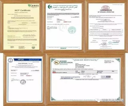 調理與治療的完美結合 一位肺癌患者的康復之旅